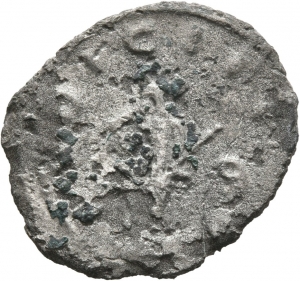 Salonina