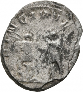 Saloninus