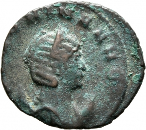 Salonina