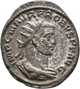 Probus