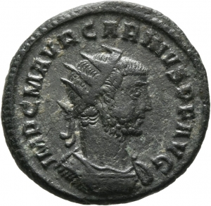 Carinus