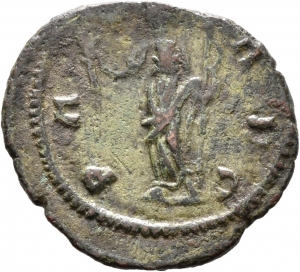 Carausius